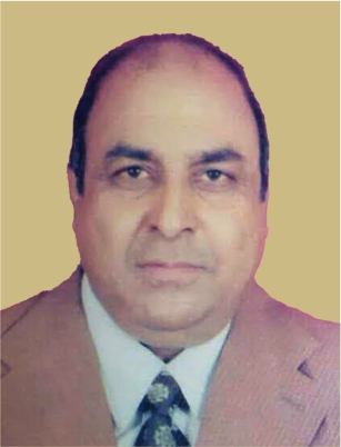 Captain D N Singh